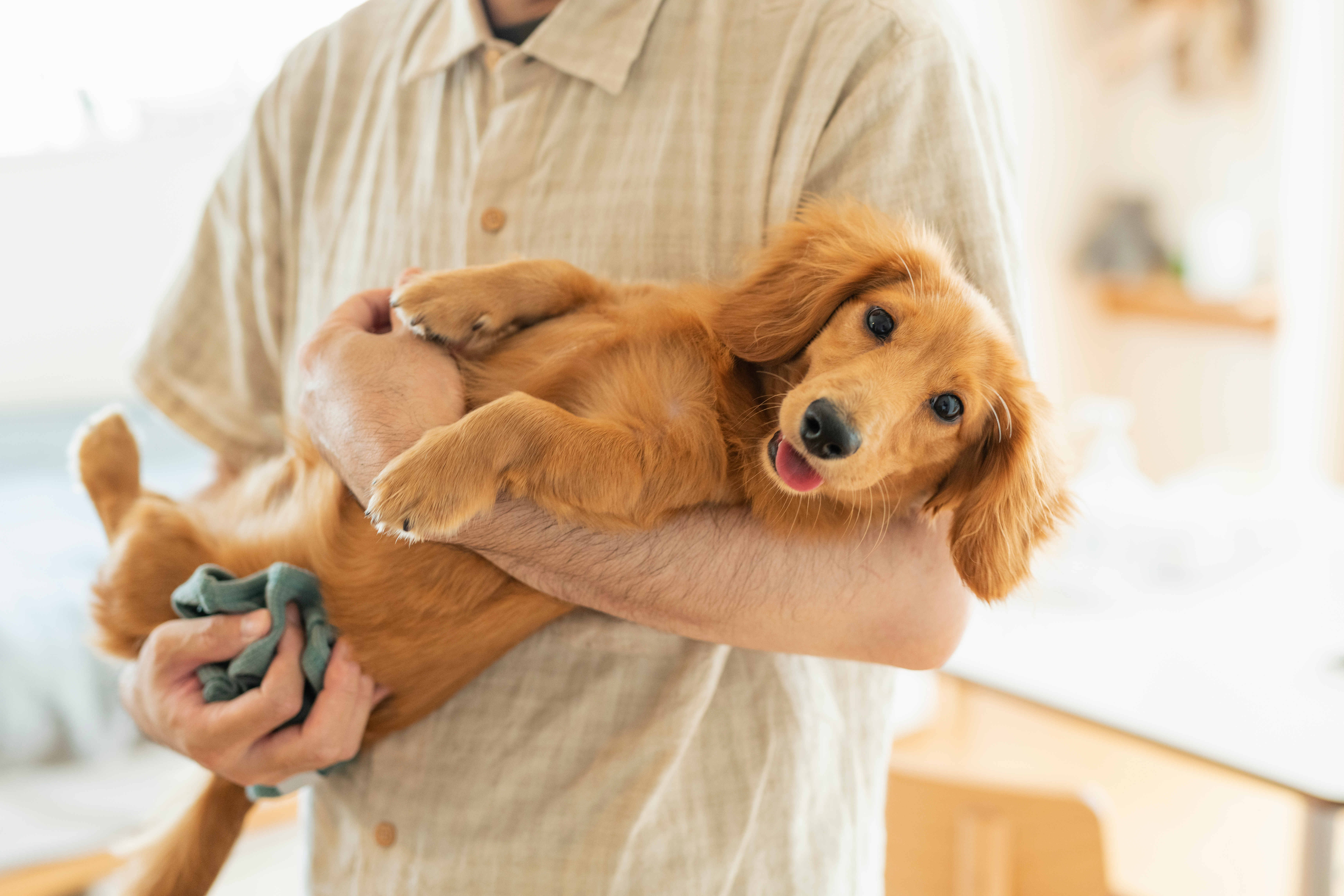 30代男性 犬のいる暮らし